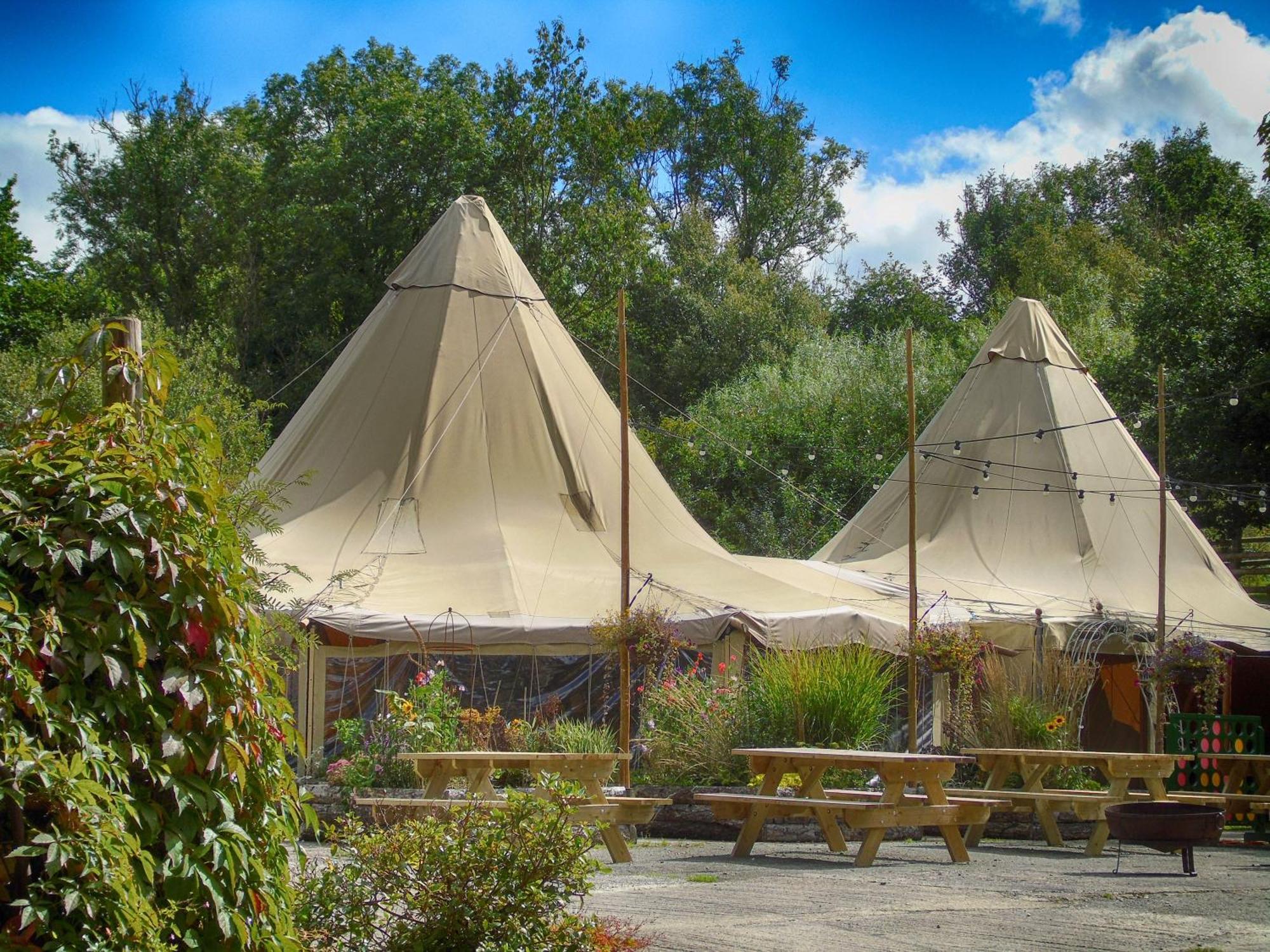 فندق Ceridwen Glamping, Double Decker Bus And Yurts Llandysul المظهر الخارجي الصورة