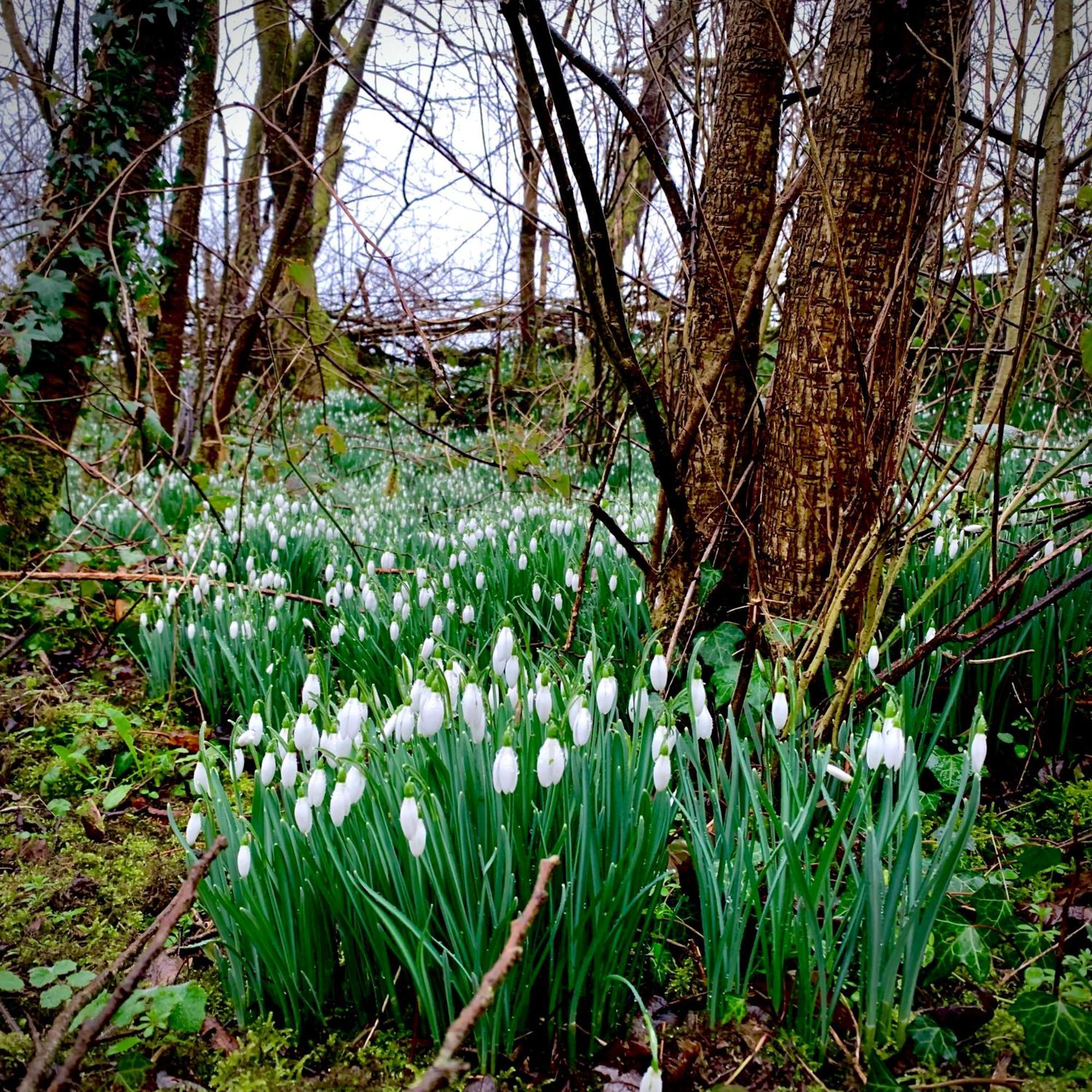 فندق Ceridwen Glamping, Double Decker Bus And Yurts Llandysul المظهر الخارجي الصورة