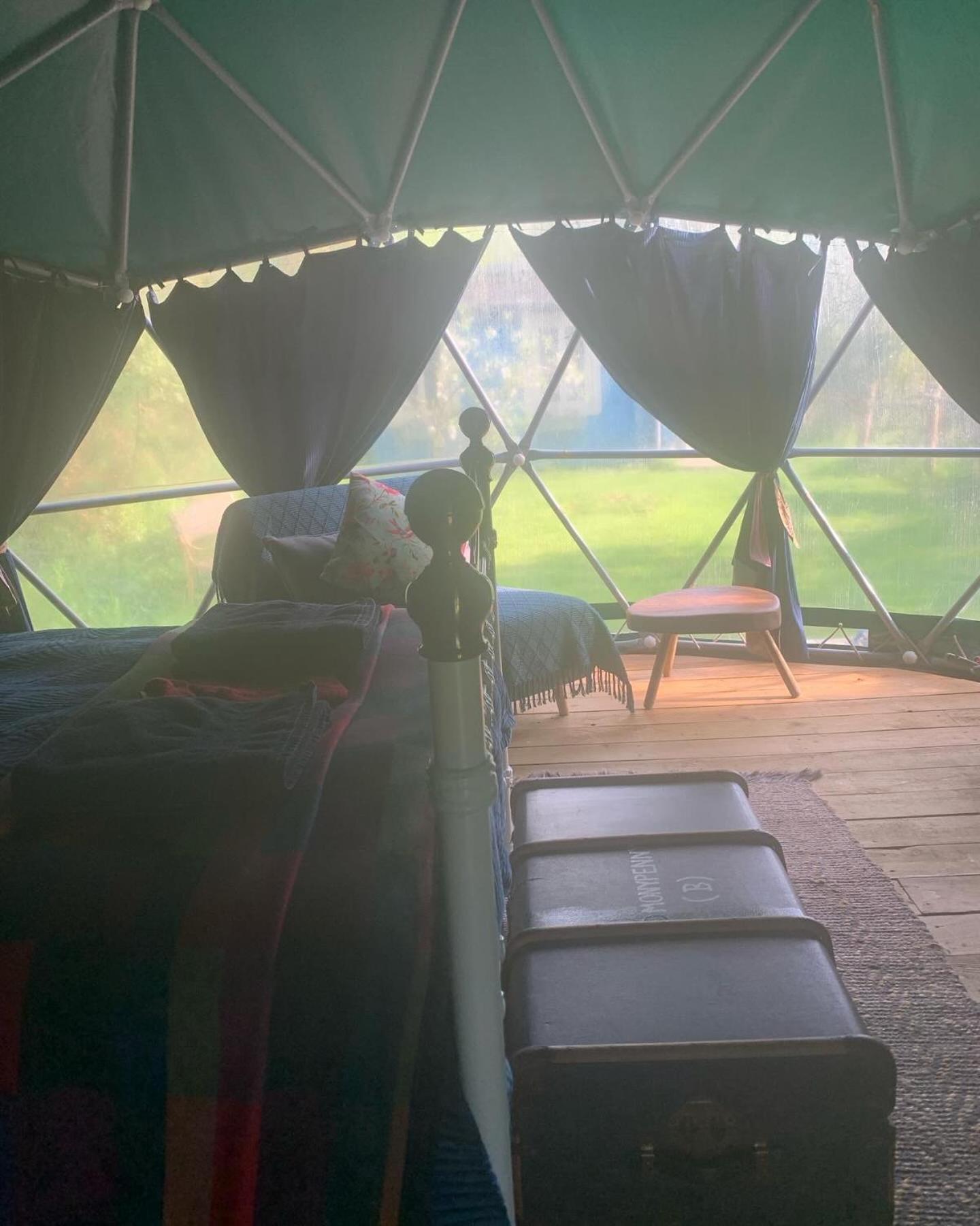 فندق Ceridwen Glamping, Double Decker Bus And Yurts Llandysul المظهر الخارجي الصورة